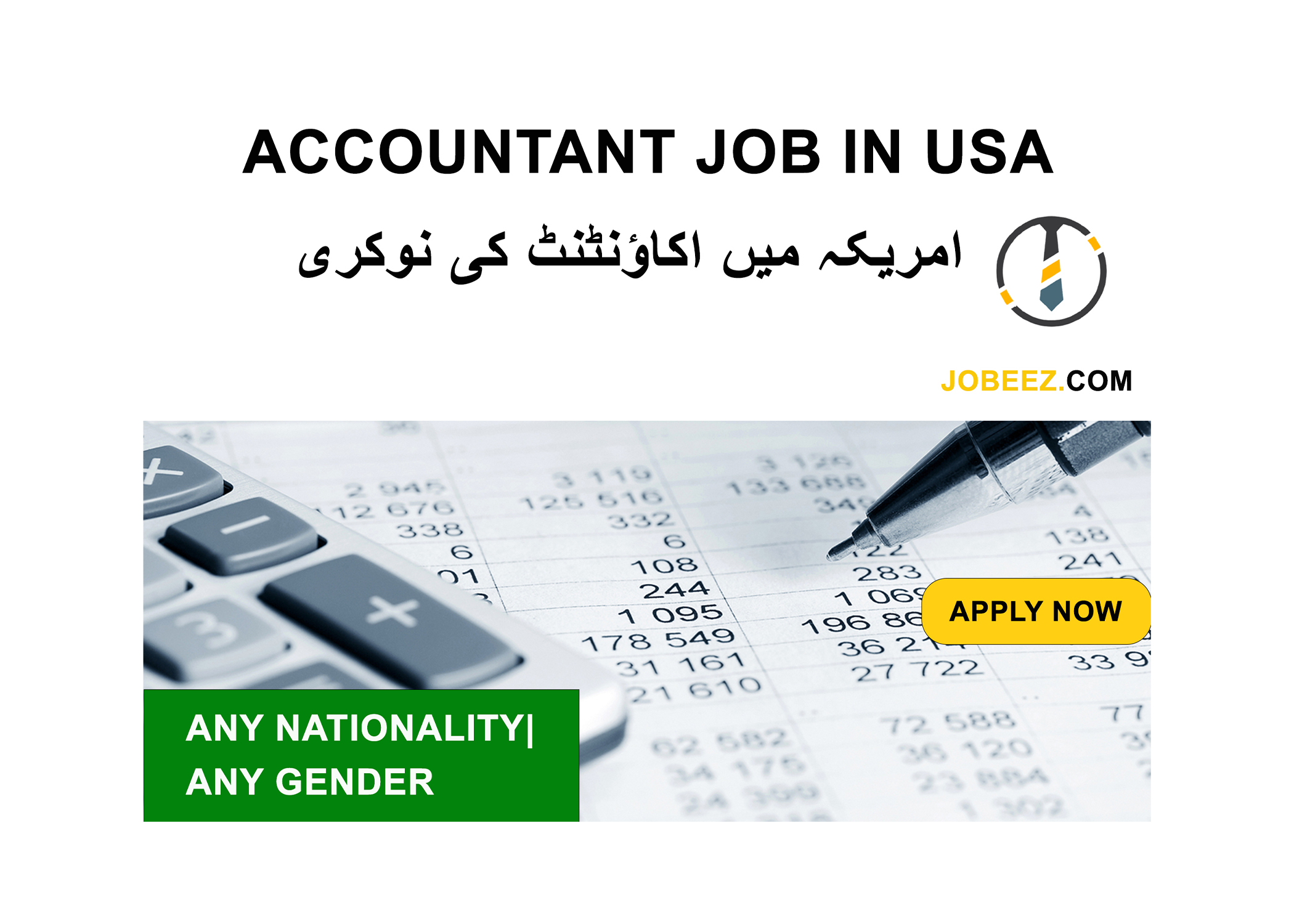 Accountant Job in Sea Way Used Cars USA